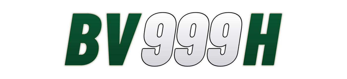 bv999h Logo